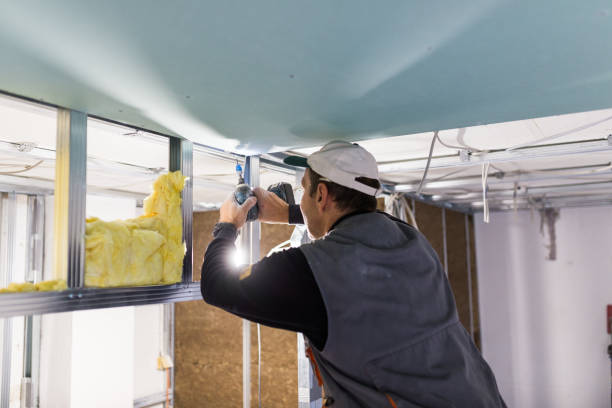 Best Insulation Repair Services  in Lexington, VA