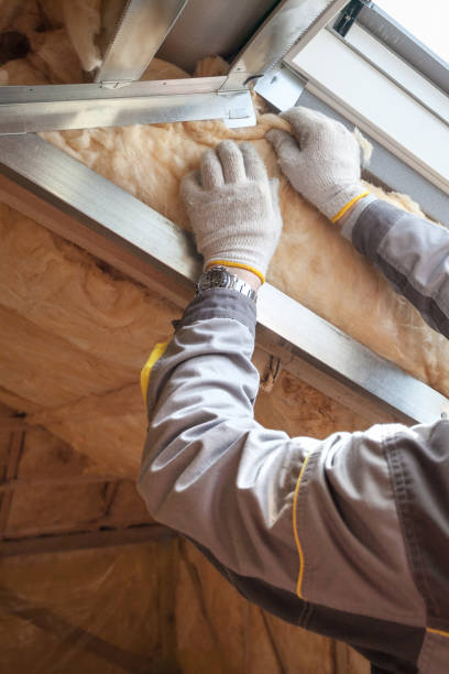 Best Best Insulation Companies  in Lexington, VA