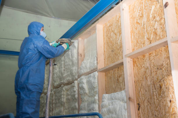 Best Cellulose Insulation  in Lexington, VA